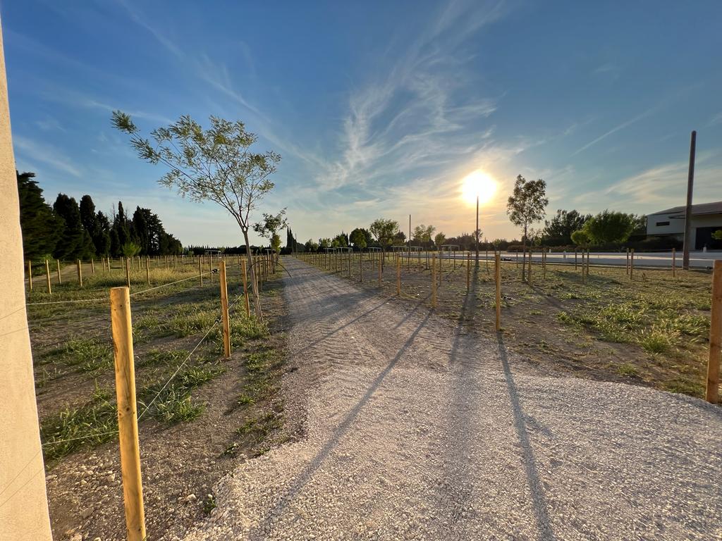 ecurie de proprétaire proche avignon,
ecurie de proprétaire proche saint remy de provence