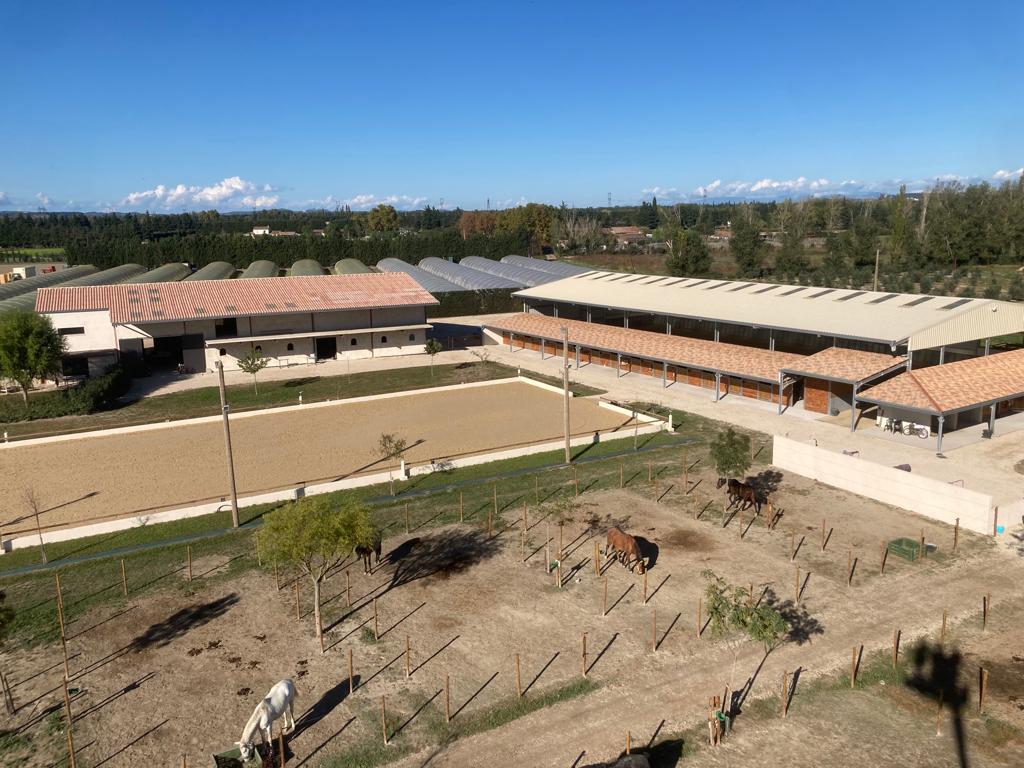 ecurie de dressage